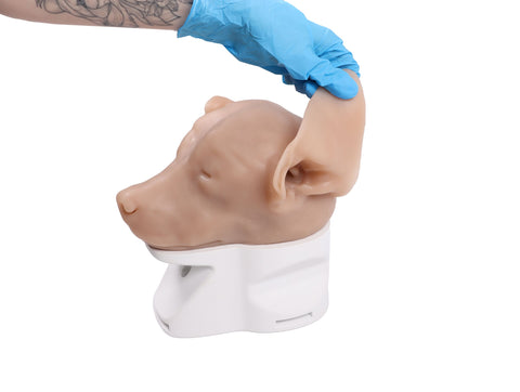 Simulator de otoscopie K9