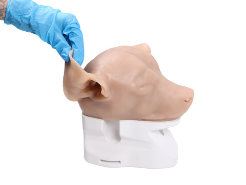 Simulator de otoscopie K9