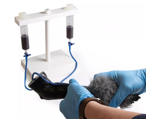 Picior de injecție IV canin