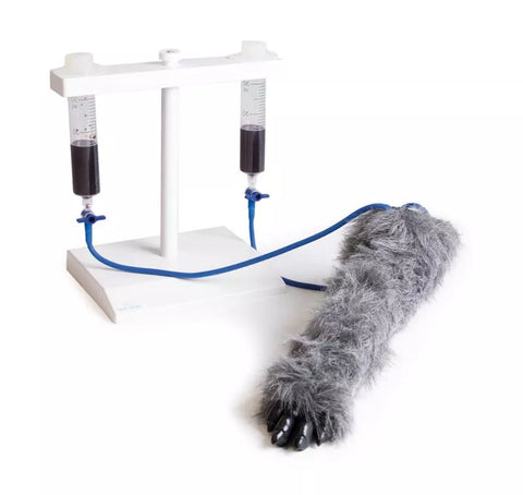 Picior de injecție IV canin