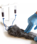 Picior de injecție IV canin