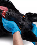 Simulator câine de lucru militar - K9-Marshal