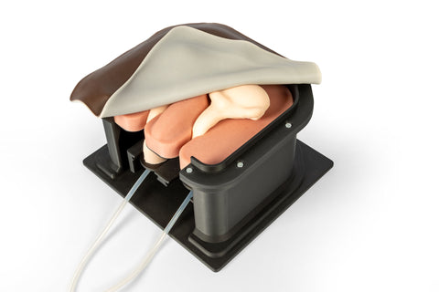 Simulator chirurgical pentru castrare la cabaline