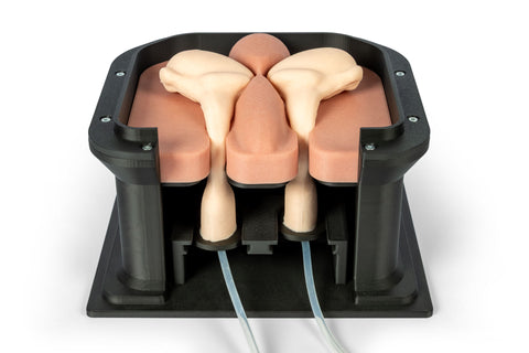 Simulator chirurgical pentru castrare la cabaline