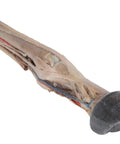 Picior de cal - tendoane, ligamente, vase și nervi - dimensiune 1/3 din natural