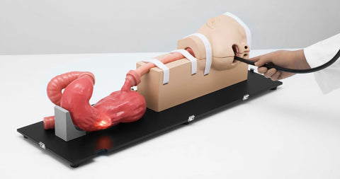Simulator EGD (esofagogastroduodenoscopie)