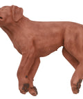 Câine RCP CasPeR