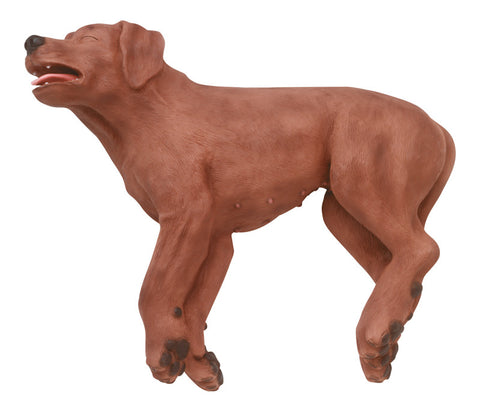 Câine RCP CasPeR